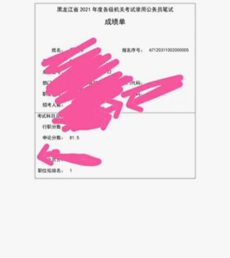 本人真实成绩，长期在机关单位写材料 。现辅...