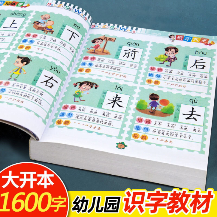 儿童学前识字大王3-6岁书籍幼儿园大班早教...