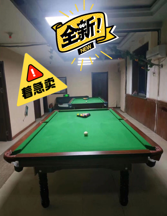 【全新球桌,低价急售】成人台球桌球休闲娱乐...