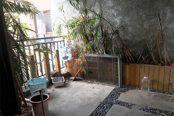 不要资格 青园小学本部 96w中建信和城 ...