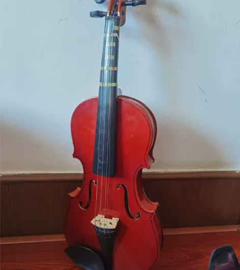 小提琴初学者1/2适合8岁左右孩子使用 感...