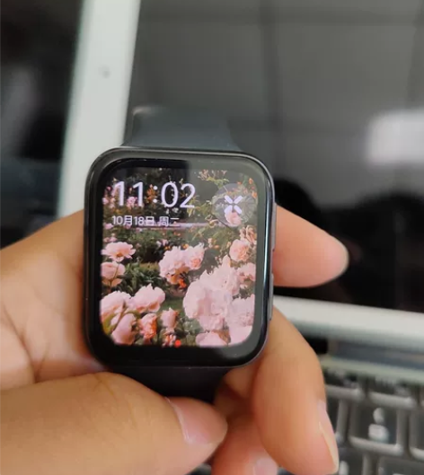 OPPO watch2  42mm elm...