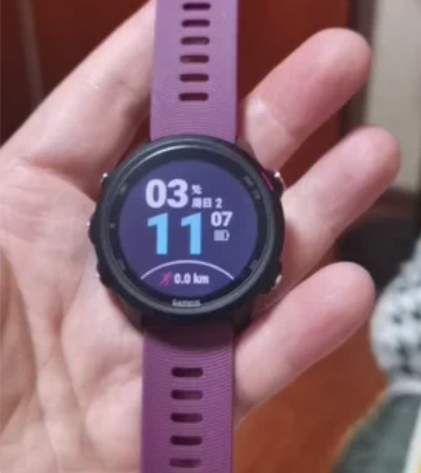 佳明245国行普通版中文版，garmin跑...