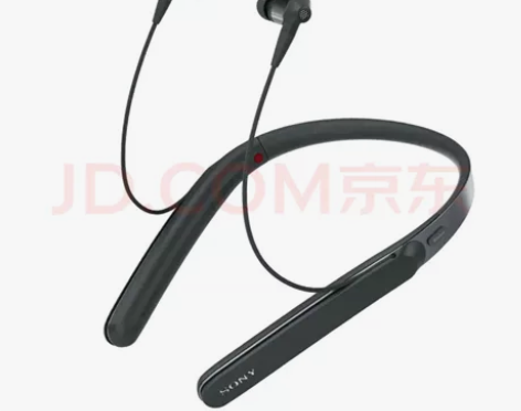 Sony WI-1000X Hi-Res ...