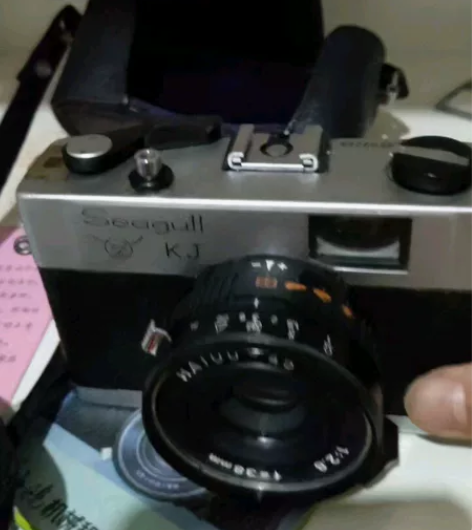 上海老牌海鸥照相机，成色很新，连猪皮外套都...