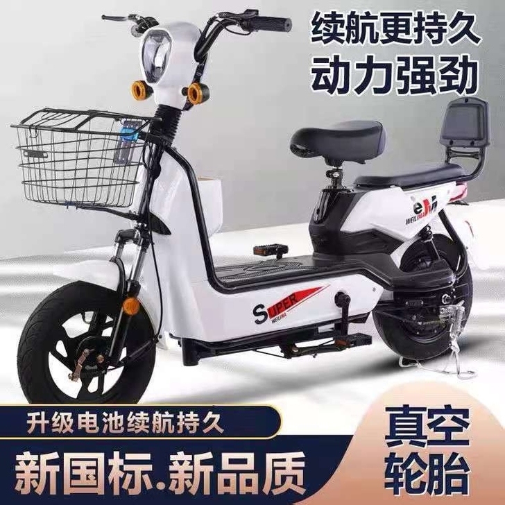 全新 电动车成人新款48V男女双人新国标脚...