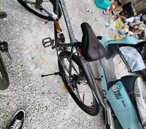 全新凤凰品牌山地车24速24寸有意者私 感...