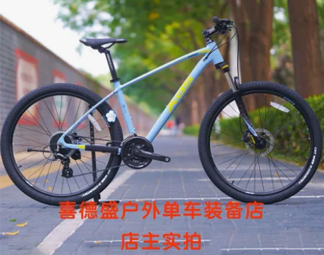 喜德盛2022款逐日500  14速 感兴...