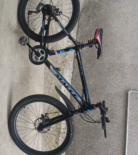 学生长高了，换代自行车一辆，上个月刚换的朝...