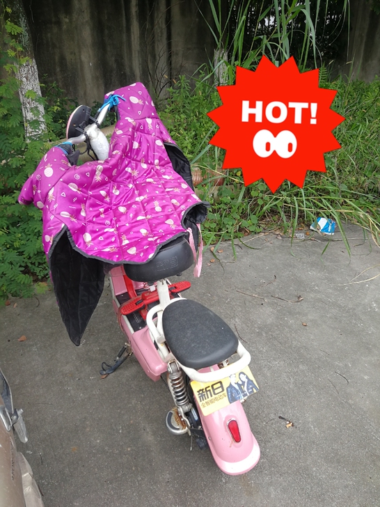 新日小电动车，详情看实图，卖掉换大的