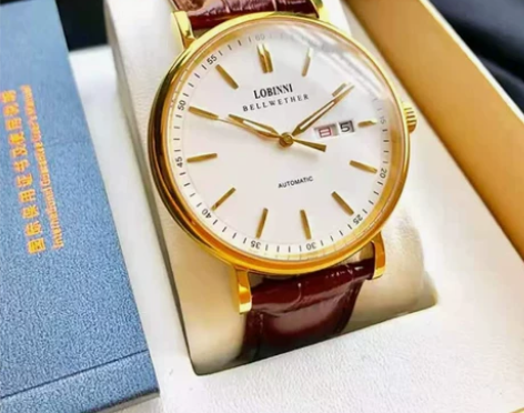罗宾尼官方正品品牌手表男士机械表全自动小众...