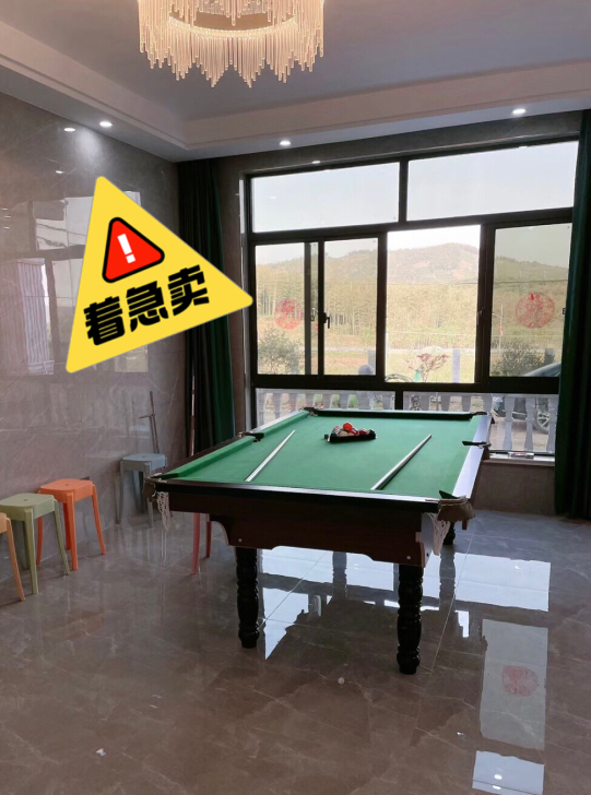 【全新球桌，低价急售】成人标准台球桌黑八球...