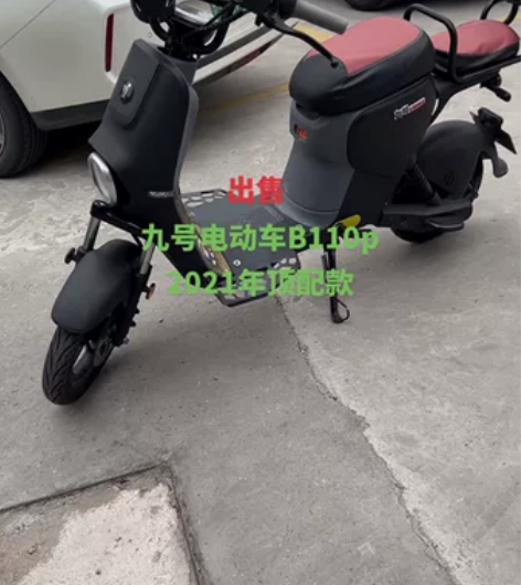 九号电动B110P，购于去年5月份，仅上下...