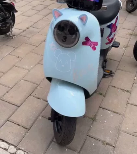 台铃电动车今年新款 车子嘎嘎新 没有任何破...