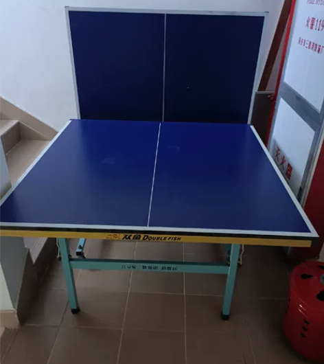 正品双鱼乒乓球桌,单块1.2米X1.1米,...