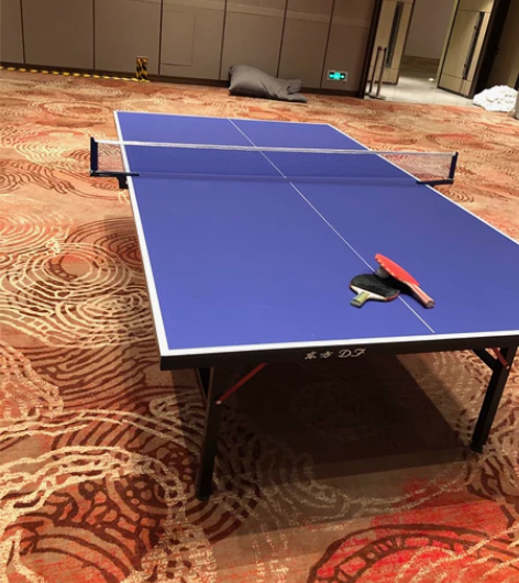 乒乓球桌，租售都可以 租机器我们提供上门安...