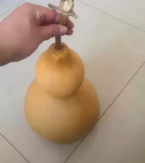 99块钱精品厚皮山西大压腰葫芦，器型不错，...