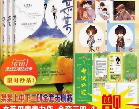 晋江青春正版图书某某小说全套未删减正版全三...