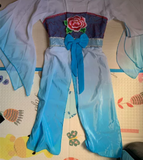 舞蹈服演出服古装 有裤子,很新。