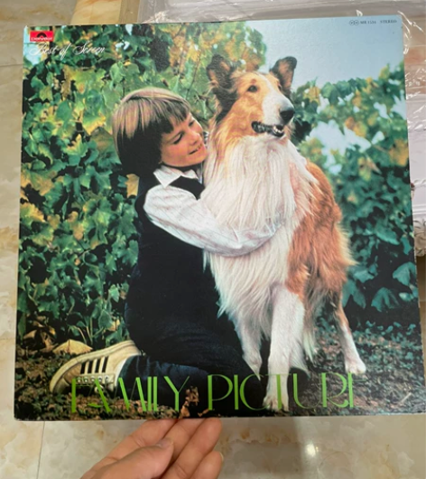 电影交响乐best of screen /...