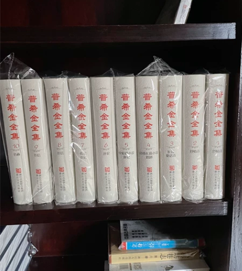 浙江文艺“普希金全集”十册全一版一印。未翻...