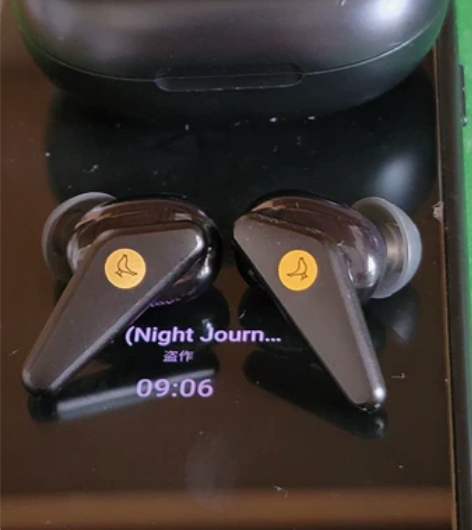 Libratone小鸟耳机（小众品牌里的不...