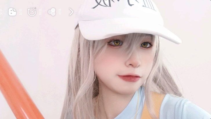 工作细胞血小板大全套