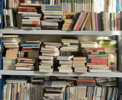 全新未拆封 杀死一只知更鸟 一只特立独行的...