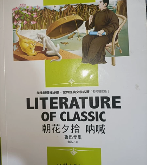 朝花夕拾 呐喊 初中必读名著几乎全新￥10...