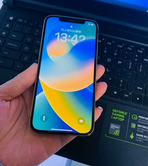 12 pro   256GB国行金色，已过...