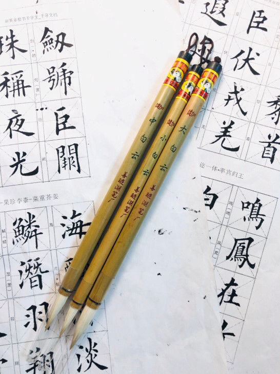 清仓 双羊牌 加健大中小白云 出锋3 2....