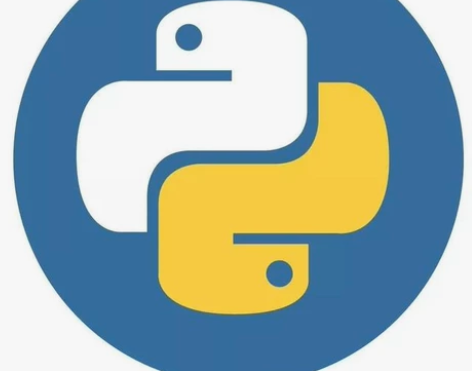 留学生python， r， sql 基础辅...