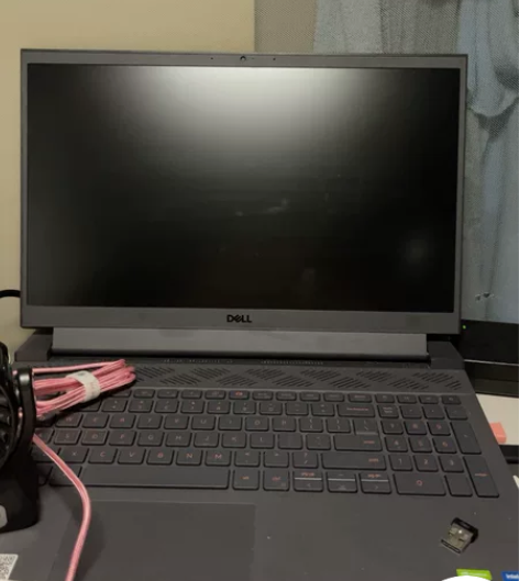 戴尔游匣g15 5511，自用98新，11...