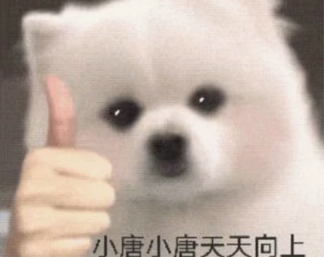 湖南一本大学金融学大二在校学生,可以一对一...