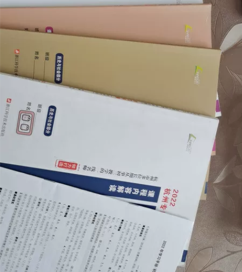 2022中考(杭州专版)历史与社会 道德与...