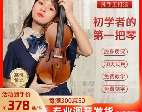 小提琴初学者儿童入门练习成人实木欧料手工琴...