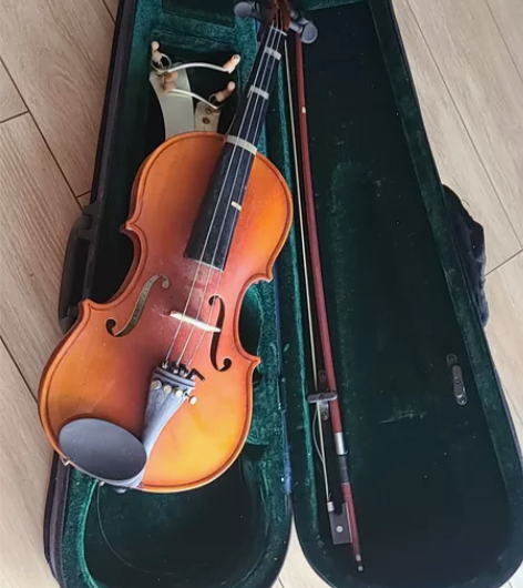 红棉小提琴，初学者专业琴 感兴趣的话点“我...