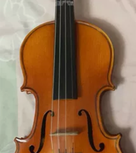 小提琴4/1的，用了半年，换4/2的了，老...