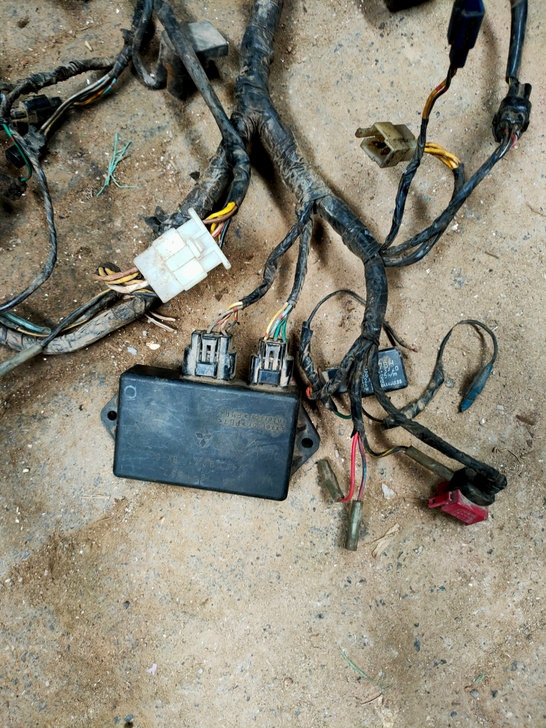 川崎美丽天使250全车线发动机