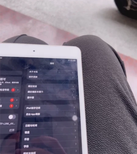 Apple/苹果 iPad mini4 个...