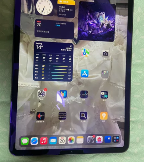 iPad Pro (2021) 11.0 ...