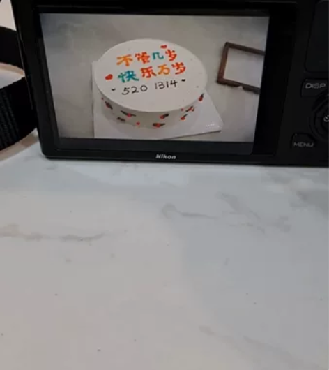 尼康单反相机，微单，拍食品，拍风景，多种模...