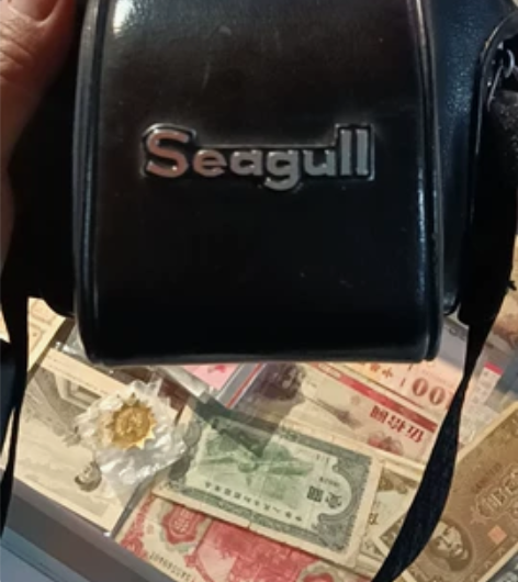 海鸥DF－1 干净整齐可以使用 感兴趣的话...