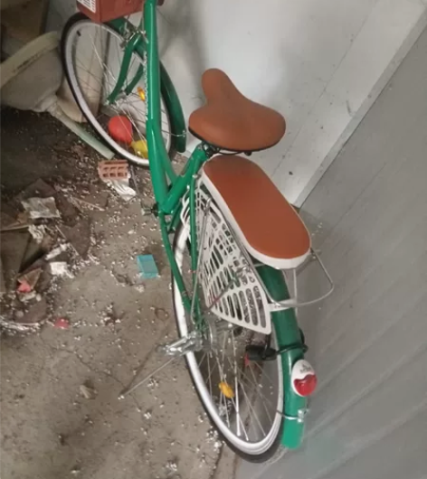 凤凰自行车，22年6月买 感兴趣的话点“我...