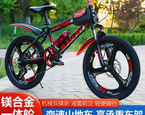 自行车 儿童8-10-12岁14及以上小学...