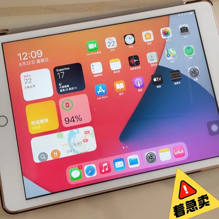 【闲置转】个人闲置iPad 2019款12...