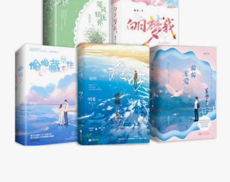 青春文学校园都市言情小说：偷偷藏不住、难哄...