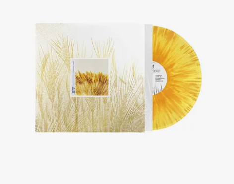 原装正版 朴树专辑 我去2000年 lp黑...