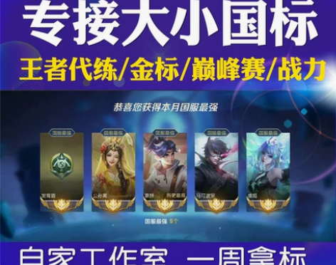 代练已完成2万单 王者送荣耀英雄战力巅峰赛...