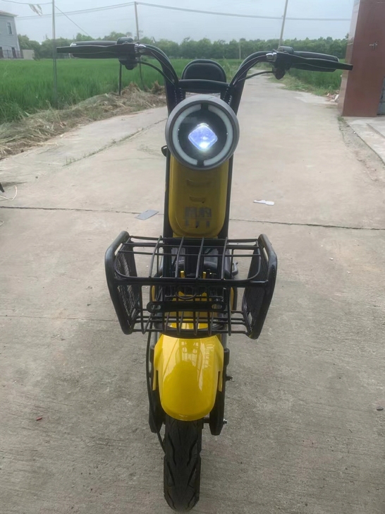 二手电动车路豹牌 带牌照 刚换的电瓶 车子...